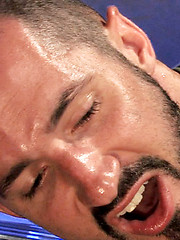Steve Stavrou is the perfect submissive, on his...