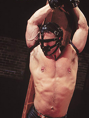 Bondaged hunk gets nipple and cock torture