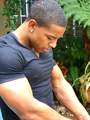 Hot ebony stud