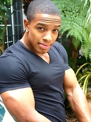 Hot ebony stud