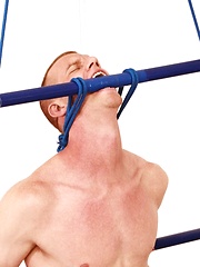 Guy gets bounded and sucked by cock-hungry gay