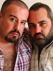 Bears of Spain Behind the Scenes 