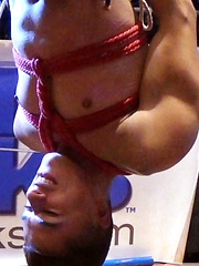 Bound Jocks - Leo Forte And Armond Rizzo - Upside Down